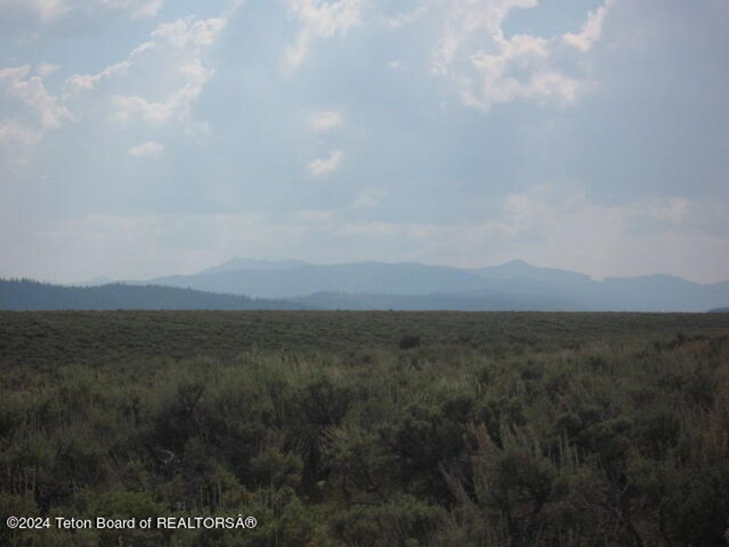 OLD BRAZZILL, Pinedale, WY 82941 photo 3
