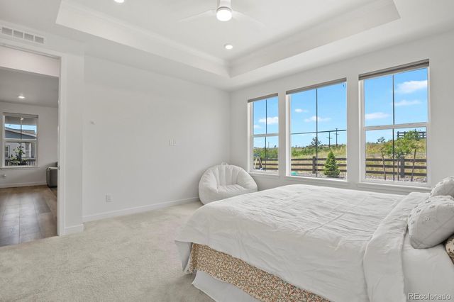 3428 Fellswoop Ct, Castle Rock, CO 80108