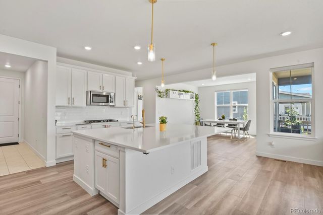 3428 Fellswoop Ct, Castle Rock, CO 80108