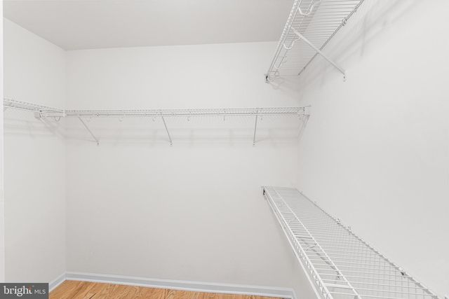 3 SALEM ST, Plainsboro, NJ 08536