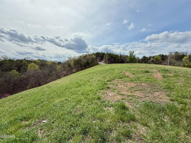 12 Ferry Hill Road, Dandridge, TN 37725