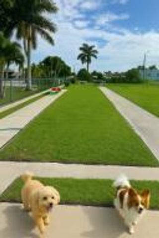 2638 Gately Drive E 1, West Palm Beach, FL 33415