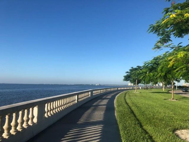 2109 BAYSHORE BOULEVARD 610, Tampa, FL 33606
