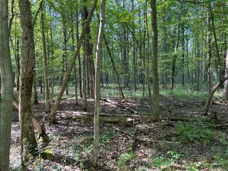 3100 W Isabella Road, Shepherd, MI 48883