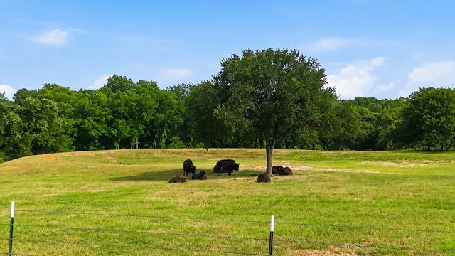 579 County Road 4599, Boyd, TX 76023