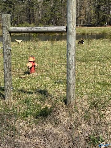 1485 County Road 156, Town Creek, AL 35672