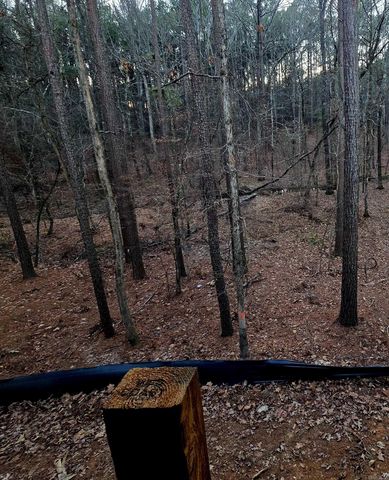 6 Ideal, Hot Springs Village, AR 71909