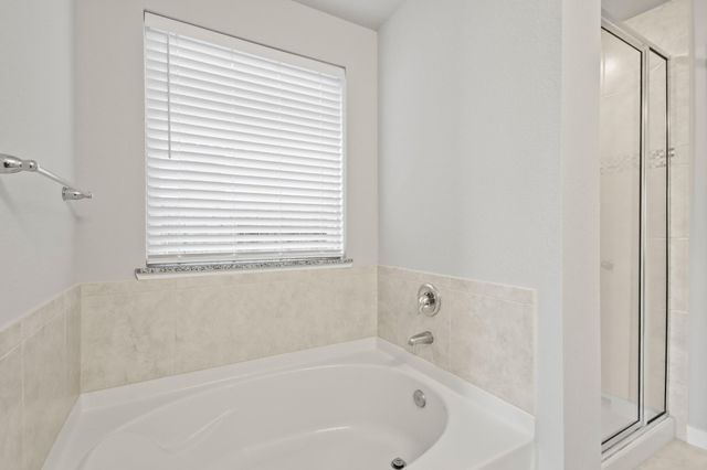 242 Aster View Court, Montgomery, TX 77316