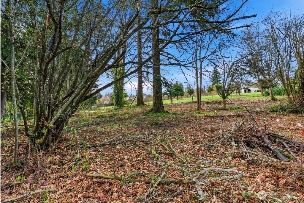 1406 E 44th Street, Tacoma, WA 98404