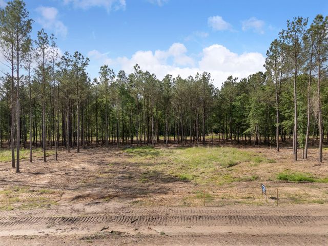 13656 Armstrong Street, Conroe, TX 77303