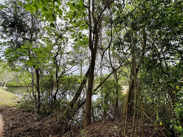 520 Mallard Drive, Sumter, SC 29150