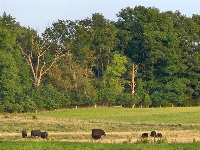 119 Burnt Mill Road, Riga, NY 14428