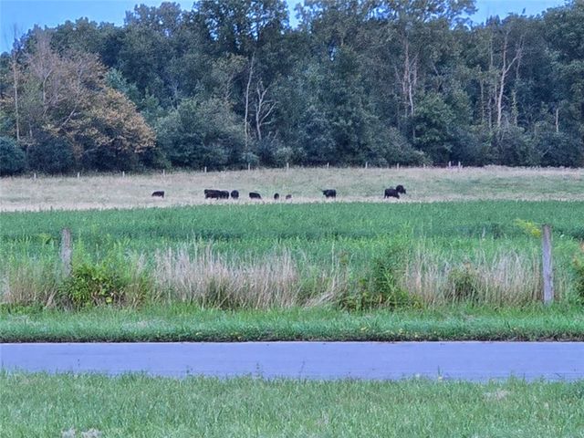 119 Burnt Mill Road, Riga, NY 14428