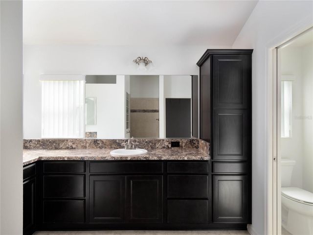 3942 ZENITH LOOP, The Villages, FL 32163