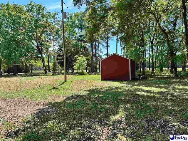 4140 Sally Bennett Rd, Dillon, SC 29536