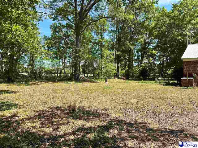4140 Sally Bennett Rd, Dillon, SC 29536