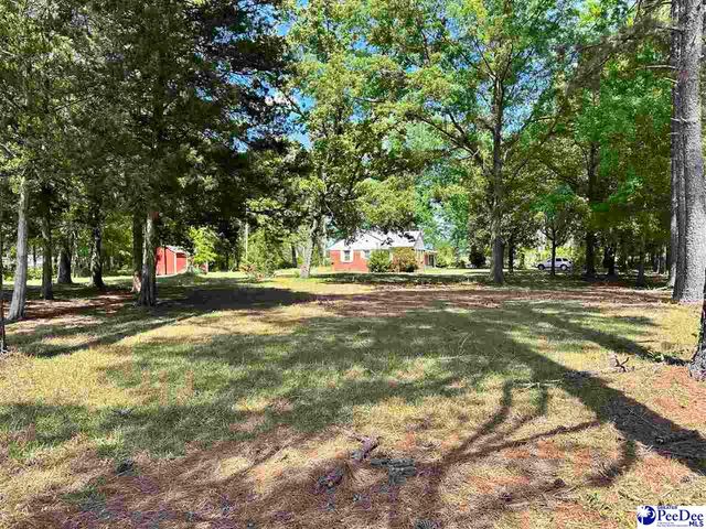4140 Sally Bennett Rd, Dillon, SC 29536