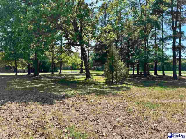 4140 Sally Bennett Rd, Dillon, SC 29536