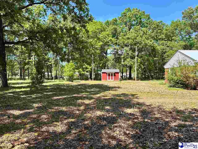 4140 Sally Bennett Rd, Dillon, SC 29536