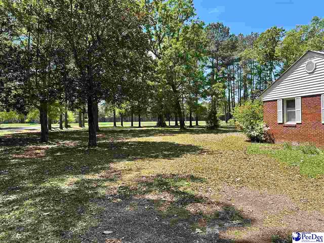 4140 Sally Bennett Rd, Dillon, SC 29536