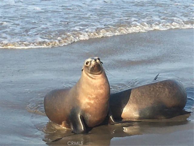 6969 Vista Del Rincon, Ventura, CA 93001