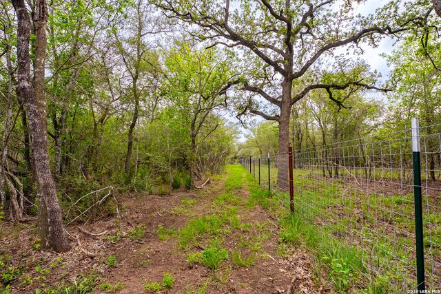 3350 FM 1104, Kingsbury, TX 78638