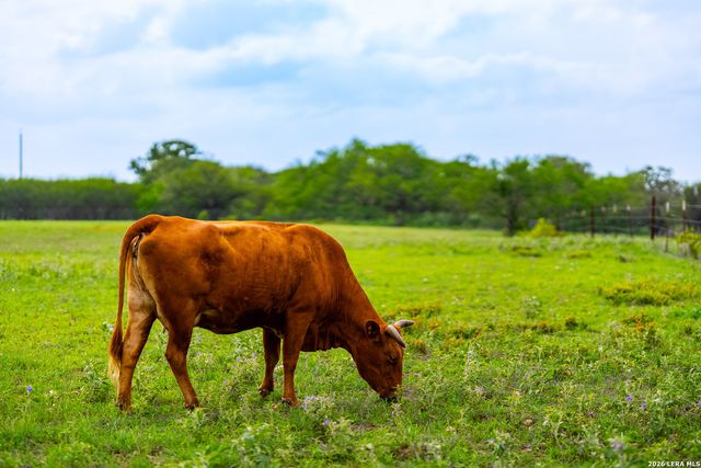 3350 FM 1104, Kingsbury, TX 78638