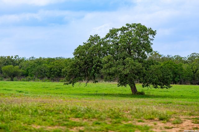 3350 FM 1104, Kingsbury, TX 78638