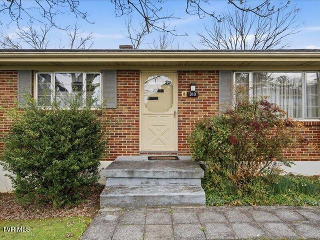 313 Belmont Drive, Bristol, TN 37620