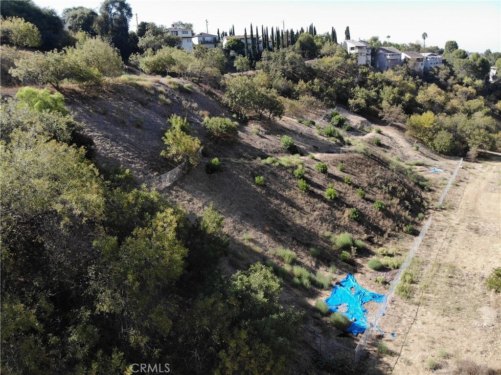 2105 Moss Avenue, Los Angeles, CA 90065 — exterior