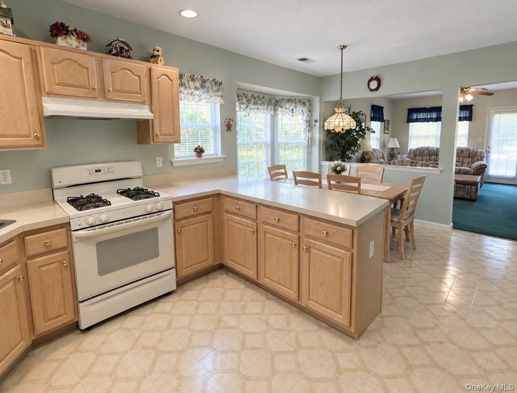 33 Perri Circle, Middle Island, NY 11953 — photo 3