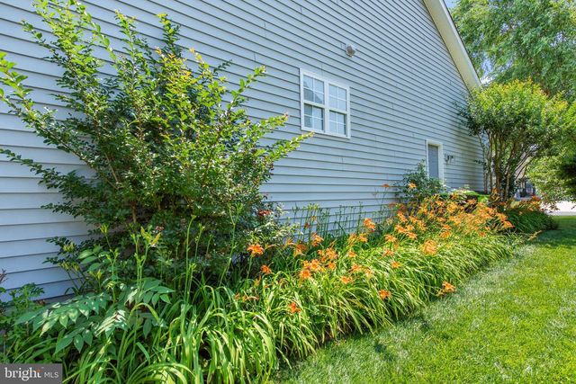 113 OYSTERMAN DR, Milton, DE 19968