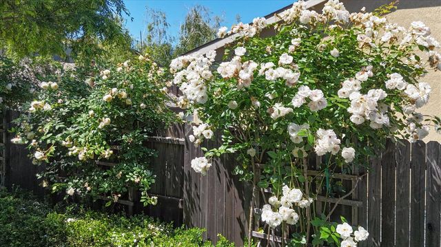 21590 Cascade Crossing Rd, Grass Valley, CA 95949