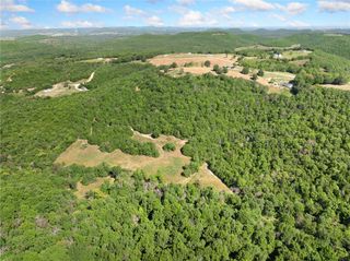 Mercy Mountain Drive, Harrison, AR 72601