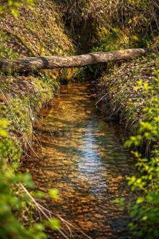 2882 Cutcane Road, Mineral Bluff, GA 30559