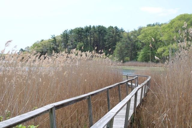 5R Brooks Rd, Gloucester, MA 01930