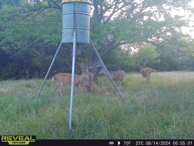 11256 SW Rolling Hills Rd, Augusta, KS 67010