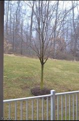 124 Wallace Ct 701, Green Brook Twp., NJ 08812