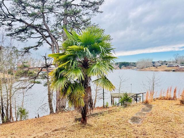 1143 Jets Landing Road, Abbeville, SC 29620