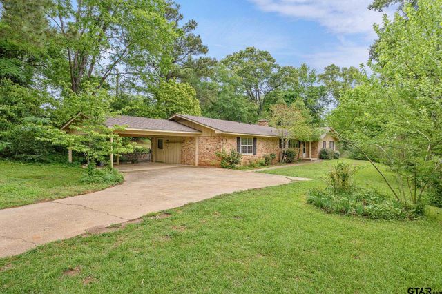 201 Old Tyler Rd, Whitehouse, TX 75791
