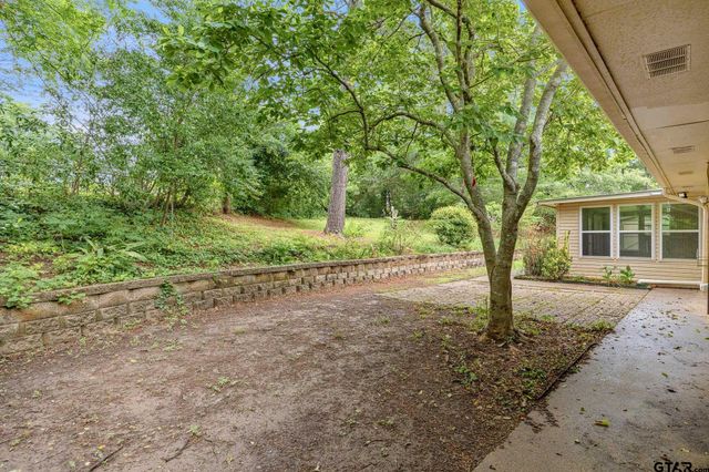 201 Old Tyler Rd, Whitehouse, TX 75791