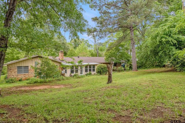 201 Old Tyler Rd, Whitehouse, TX 75791