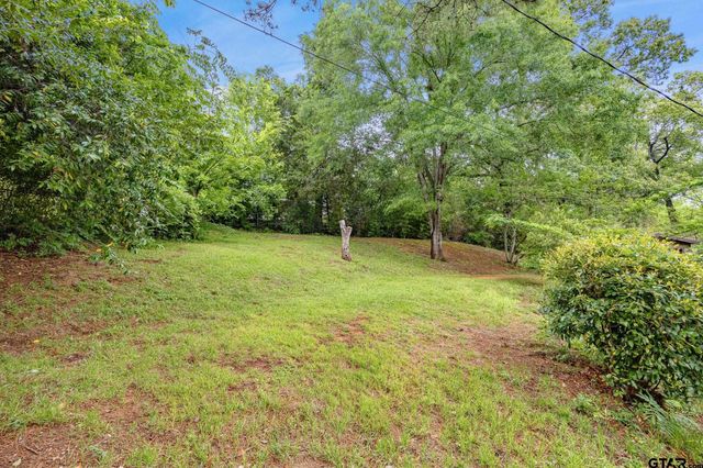 201 Old Tyler Rd, Whitehouse, TX 75791
