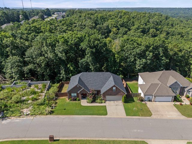 1085 Mountain Side Cove, Alexander, AR 72002