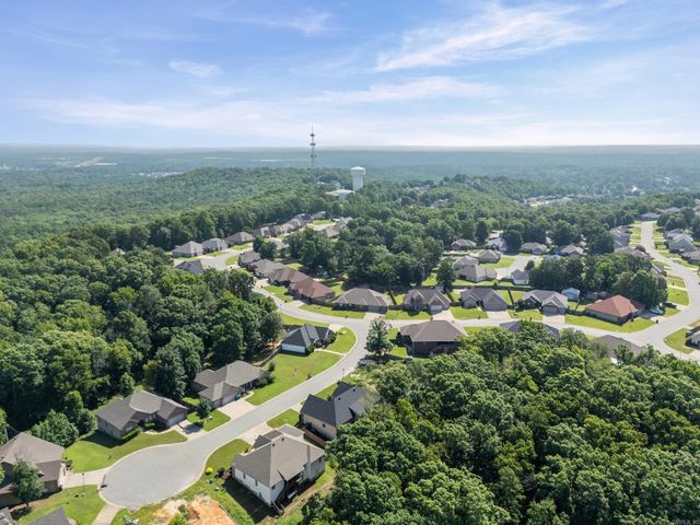 1085 Mountain Side Cove, Alexander, AR 72002
