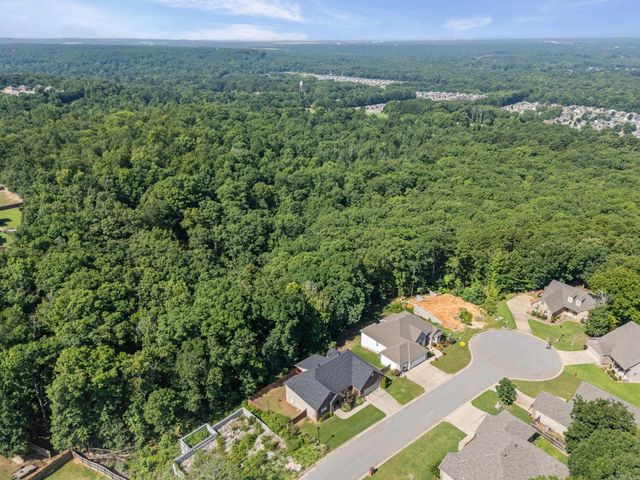1085 Mountain Side Cove, Alexander, AR 72002