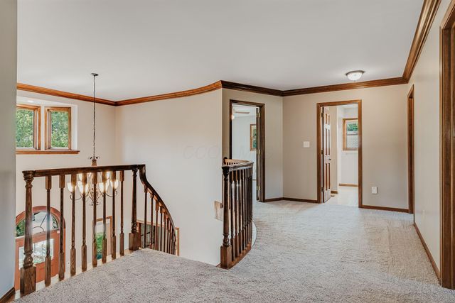 8222 Sanctuary Drive, Columbus, OH 43235