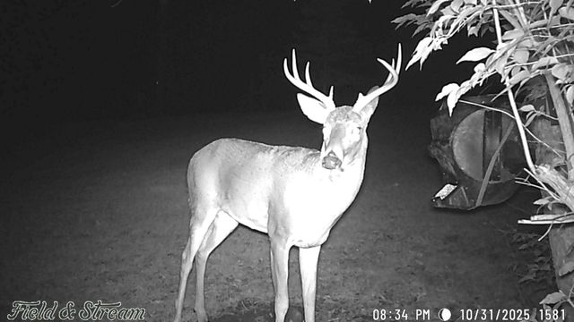 1052 Briarwood Way, Lawrenceburg, KY 40342