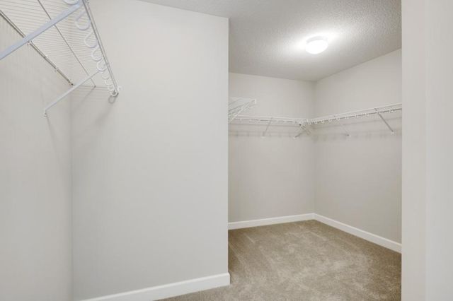 6205 134th Street N, Hugo, MN 55038