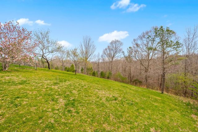 3337 Tarsus Rd, Palmyra, TN 37142